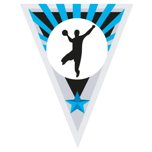 Villeneuve Handball
